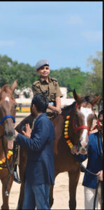 Horse Riding