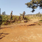 Military Training