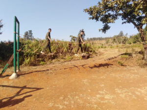Military Training